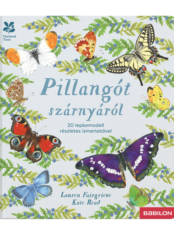 PILLANGÓT SZÁRNYÁRÓL - 20 LEPKEMODELL RÉSZLETES ISMERTETŐVEL