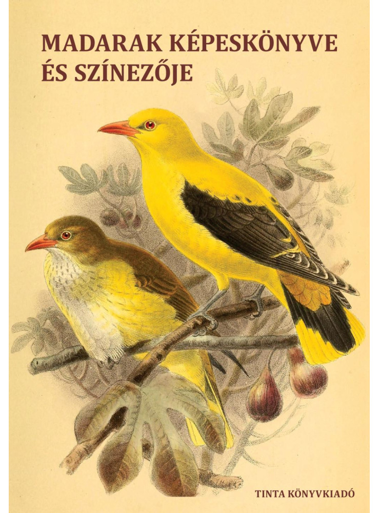 MADARAK KÉPESKÖNYVE ÉS SZÍNEZŐJE