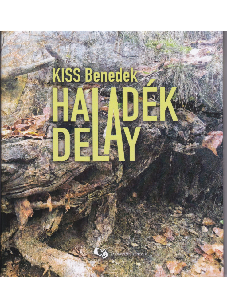 HALADÉK - DELAY