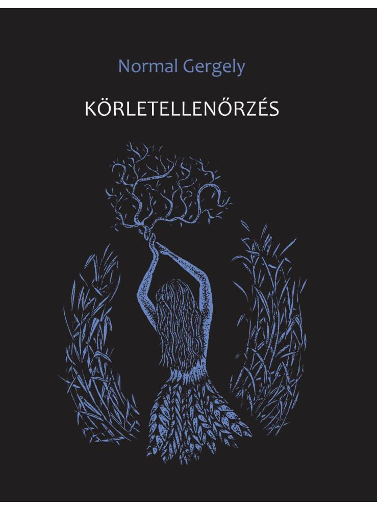 KÖRLETELLENŐRZÉS KÖRLETELLENŐRZÉS
