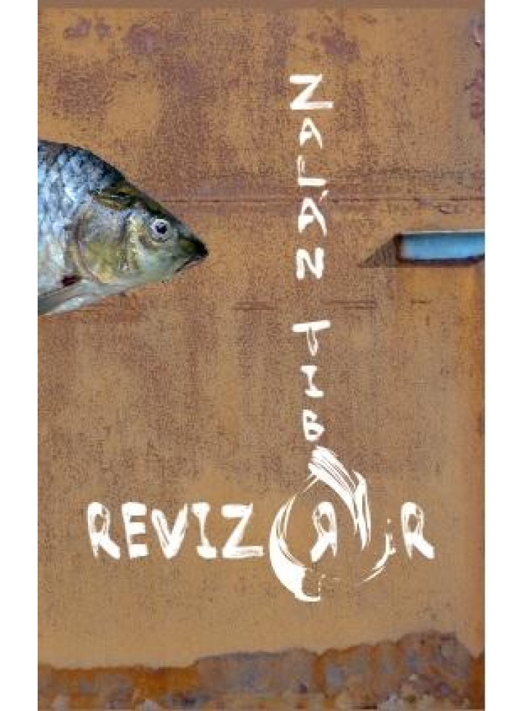 A REVIZORR