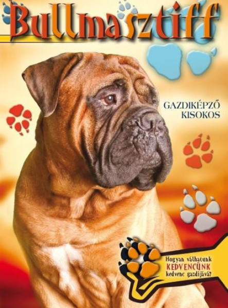 BULLMASZTIFF - GAZDIKÉPZŐ KISOKOS