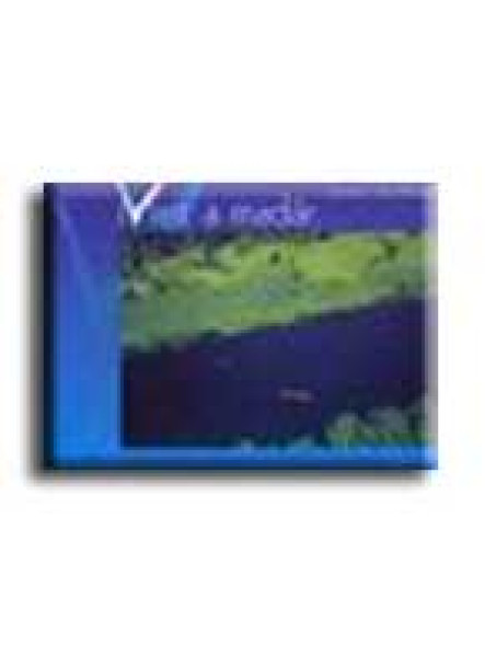 MINT A MADÁR ... MINT A MADÁR ...