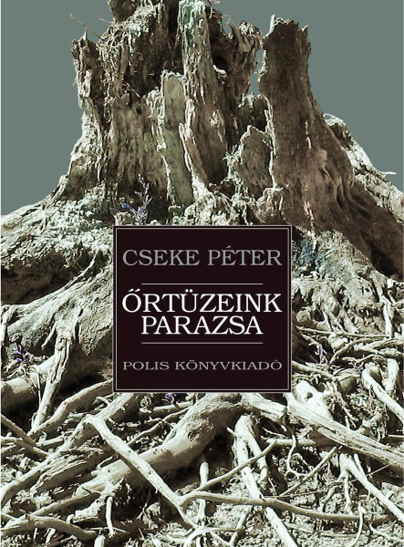 ŐRTÜZEINK PARAZSA