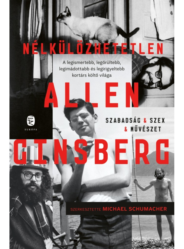 NÉLKÜLÖZHETETLEN ALLEN GINSBERG