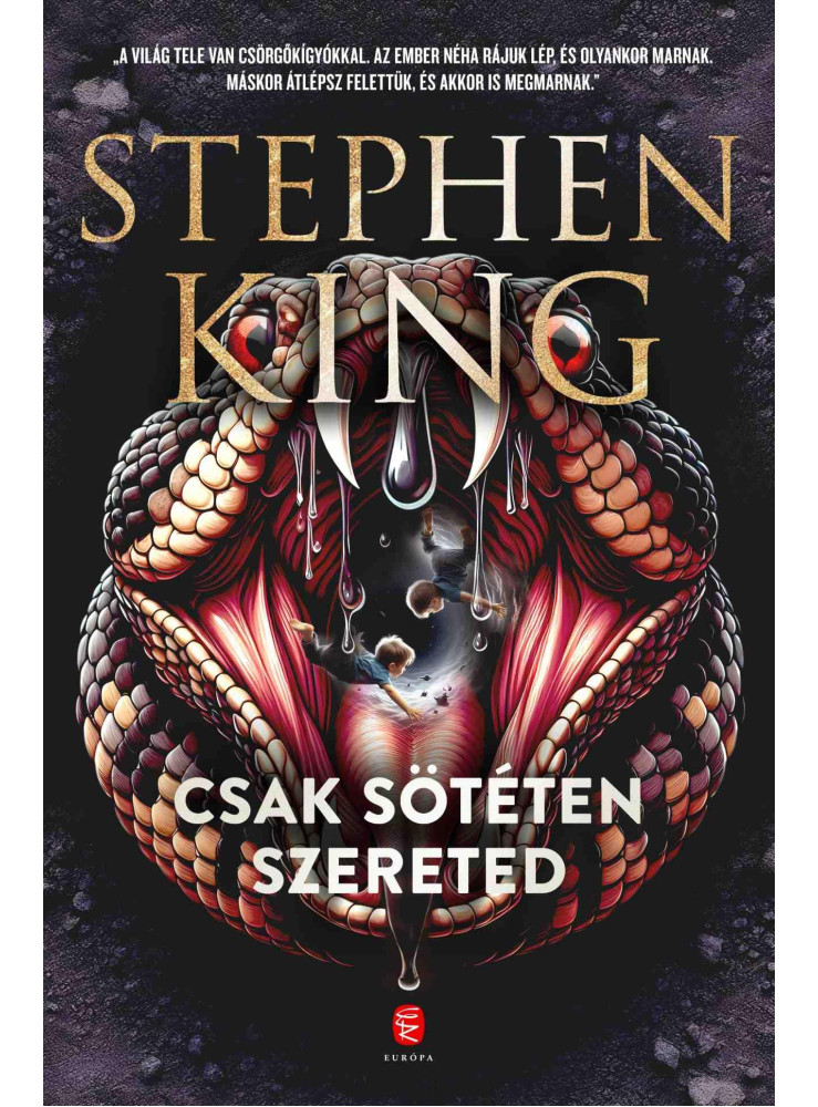 CSAK SÖTÉTEN SZERETED