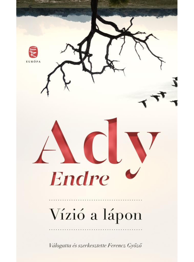 VÍZIÓ A LÁPON