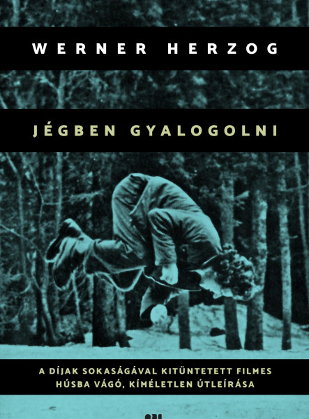 JÉGBEN GYALOGOLNI