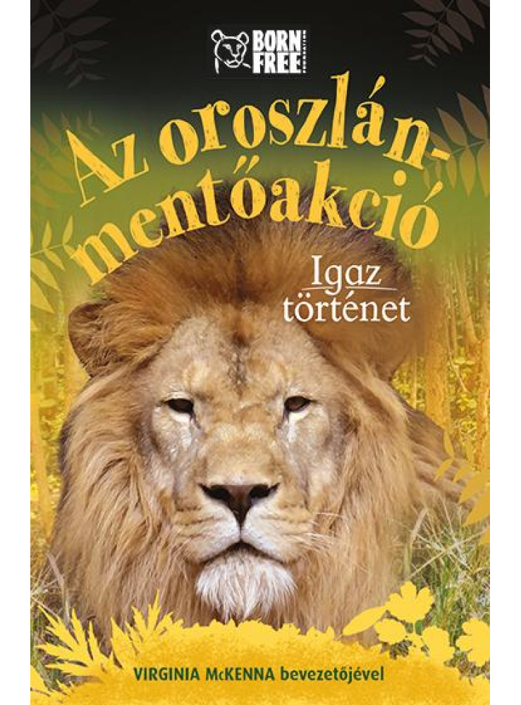 AZ OROSZLÁN-MENTŐAKCIÓ - IGAZ TÖRTÉNET