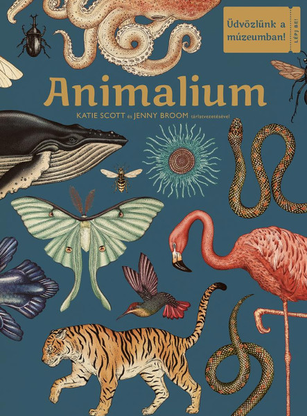 ANIMALIUM - ÜDVÖZLÜNK A MÚZEUMBAN!