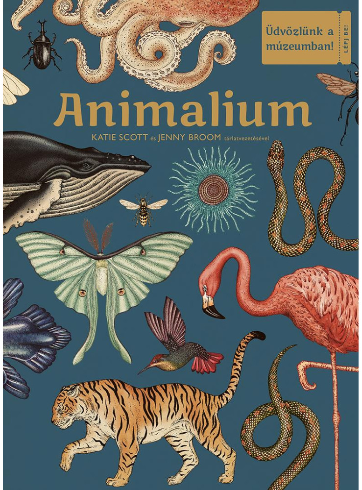 ANIMALIUM - ÜDVÖZLÜNK A MÚZEUMBAN!