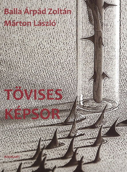 TÖVISES KÉPSOR