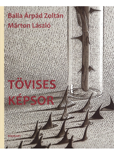 TÖVISES KÉPSOR