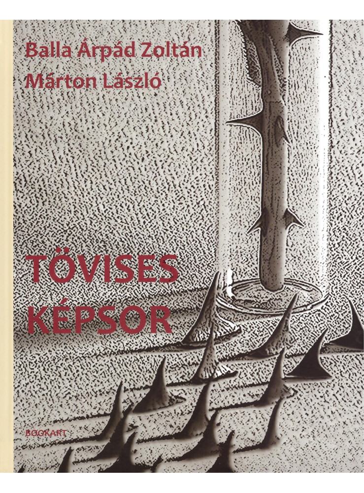 TÖVISES KÉPSOR