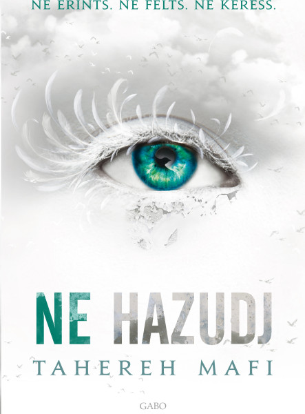 NE HAZUDJ