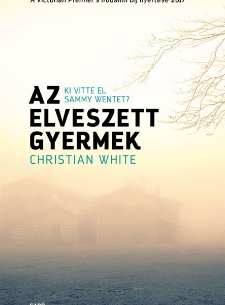 AZ ELVESZETT GYERMEK