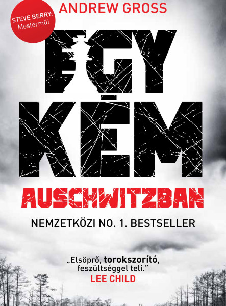 EGY KÉM AUSCHWITZBAN