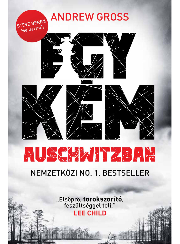 EGY KÉM AUSCHWITZBAN