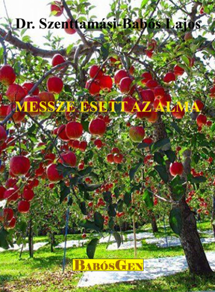 MESSZE ESETT AZ ALMA