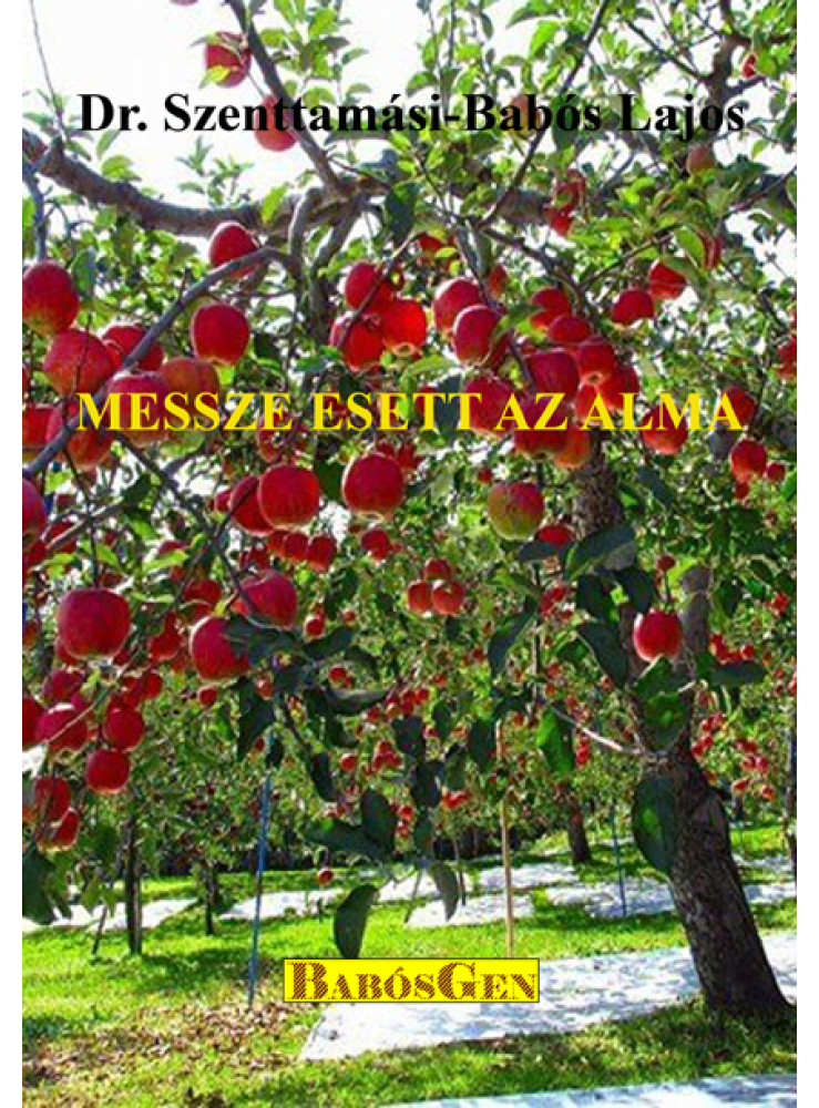 MESSZE ESETT AZ ALMA MESSZE ESETT AZ ALMA