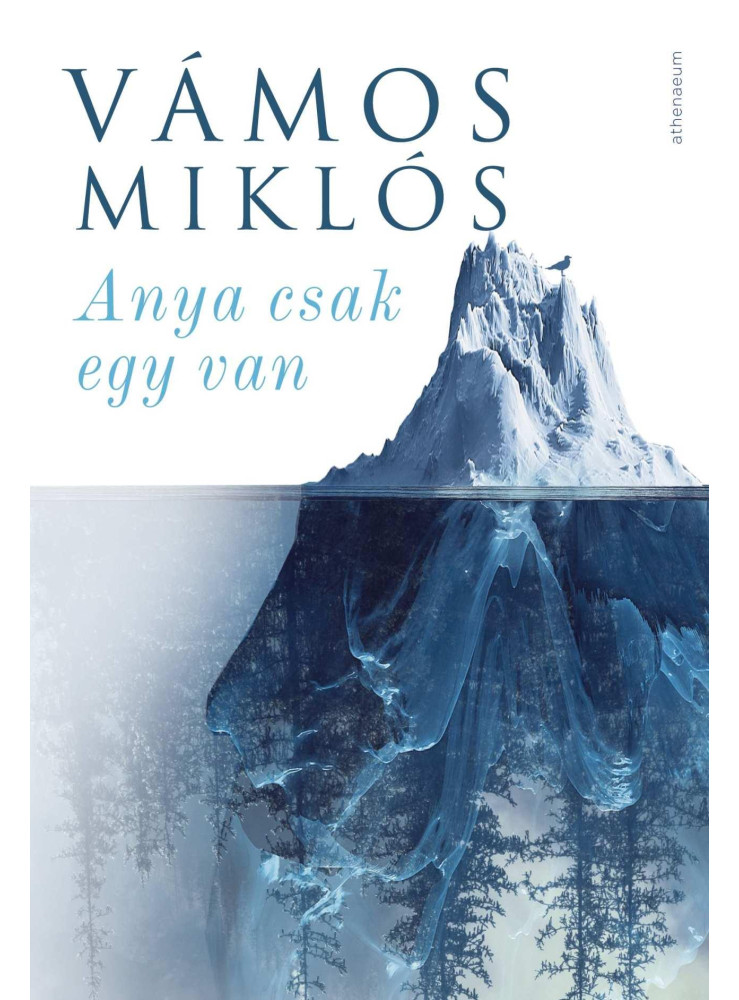ANYA CSAK EGY VAN
