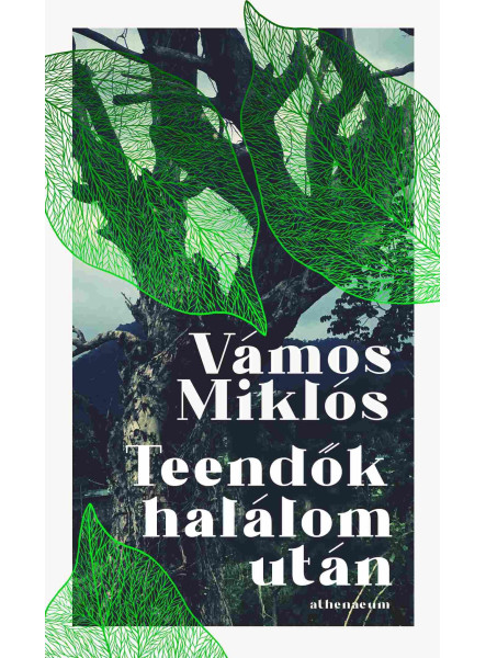 TEENDŐK HALÁLOM UTÁN