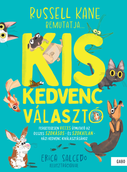 KISKEDVENC VÁLASZTÓ