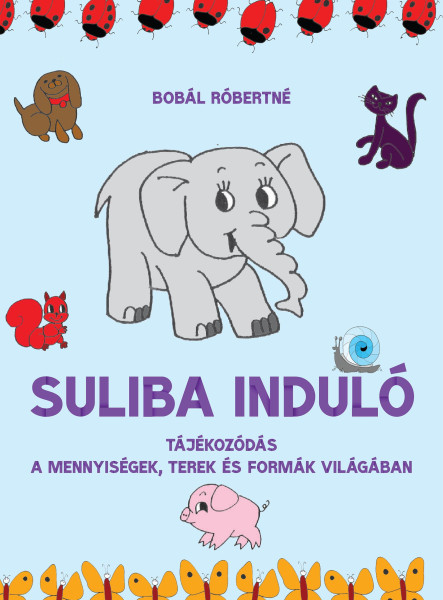 SULIBA INDULÓ - TÁJÉKOZÓDÁS A MENNYISÉGEK, TEREK ÉS FORMÁK VILÁGÁBAN