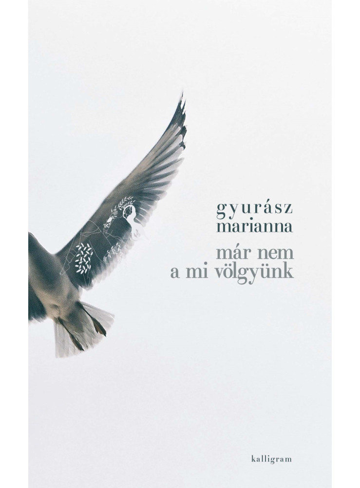 MÁR NEM A MI VÖLGYÜNK MÁR NEM A MI VÖLGYÜNK