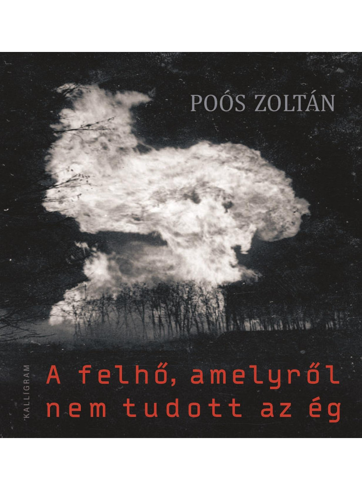 A FELHŐ, AMELYRŐL NEM TUDOTT AZ ÉG A FELHŐ, AMELYRŐL NEM TUDOTT AZ ÉG