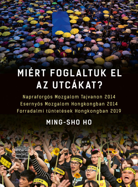 MIÉRT FOGLALTUK EL AZ UTCÁKAT?