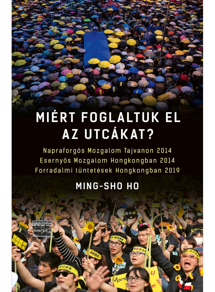 MIÉRT FOGLALTUK EL AZ UTCÁKAT? MIÉRT FOGLALTUK EL AZ UTCÁKAT?