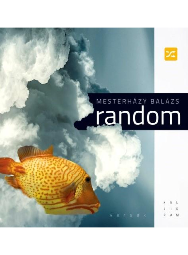 RANDOM RANDOM