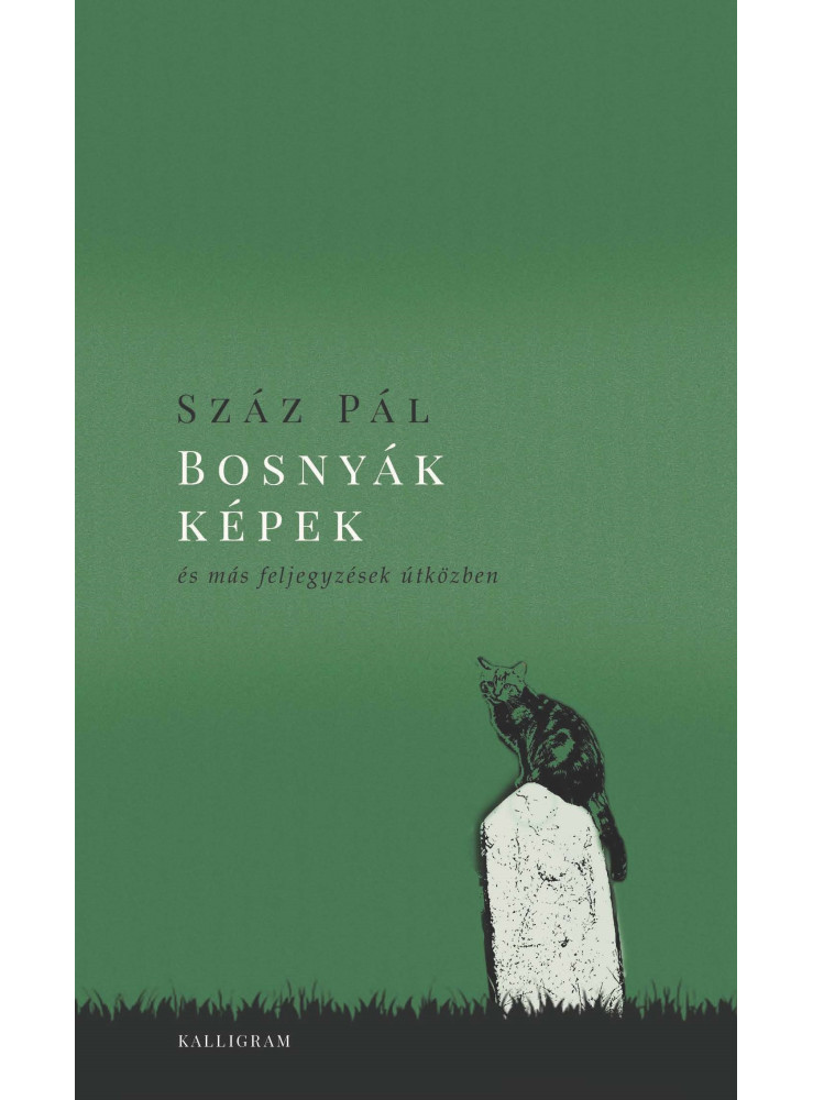 BOSNYÁK KÉPEK ÉS MÁS FELJEGYZÉSEK ÚTKÖZBEN BOSNYÁK KÉPEK ÉS MÁS FELJEGYZÉSEK ÚTKÖZBEN