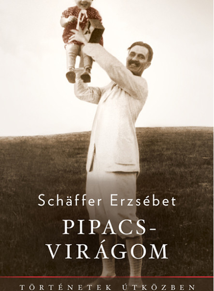 PIPACSVIRÁGOM - TÖRTÉNETEK ÚTKÖZBEN