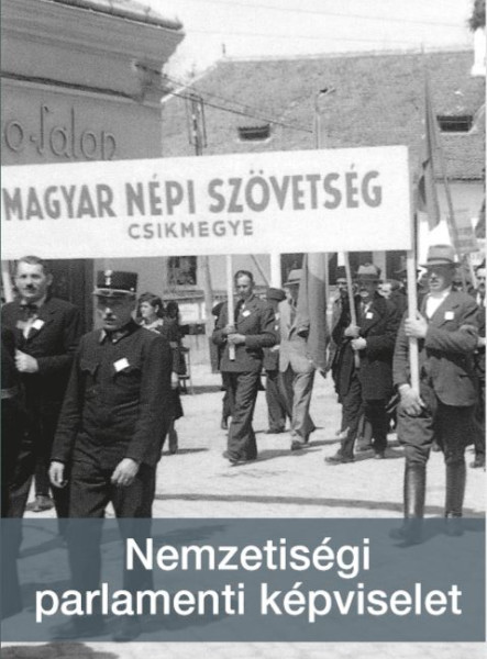 NEMZETISÉGI PARLAMENTI KÉPVISELET
