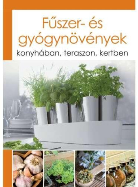 FŰSZER- ÉS GYÓGYNÖVÉNYEK - KONYHÁBAN, TERASZON, KERTBEN