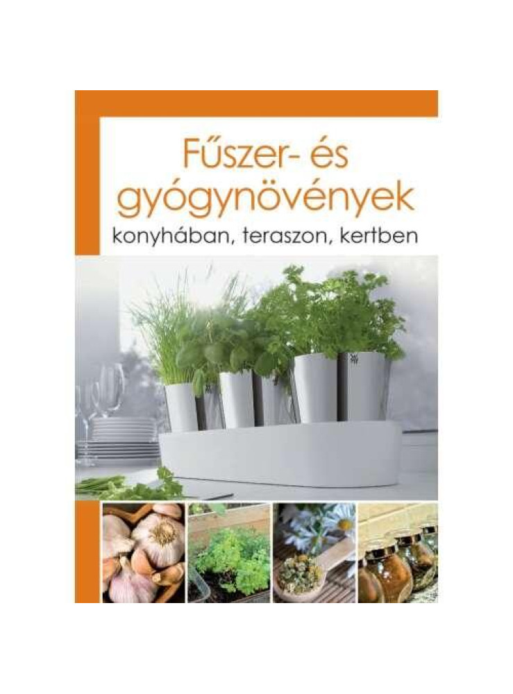 FŰSZER- ÉS GYÓGYNÖVÉNYEK - KONYHÁBAN, TERASZON, KERTBEN FŰSZER- ÉS GYÓGYNÖVÉNYEK - KONYHÁBAN, TERASZON, KERTBEN