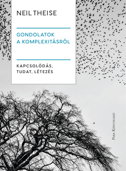 GONDOLATOK A KOMPLEXITÁSRÓL - KAPCSOLÓDÁS, TUDAT, LÉTEZÉS