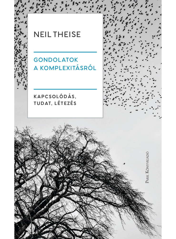 GONDOLATOK A KOMPLEXITÁSRÓL - KAPCSOLÓDÁS, TUDAT, LÉTEZÉS GONDOLATOK A KOMPLEXITÁSRÓL - KAPCSOLÓDÁS, TUDAT, LÉTEZÉS