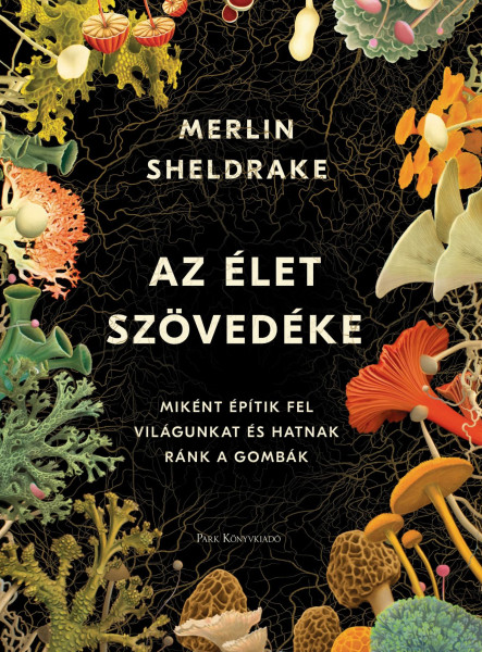 AZ ÉLET SZÖVEDÉKE