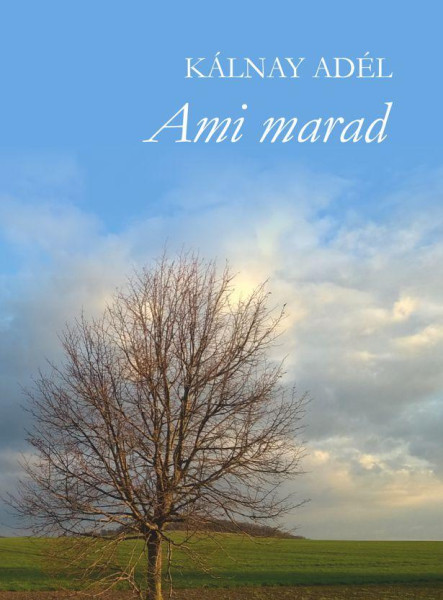 AMI MARAD