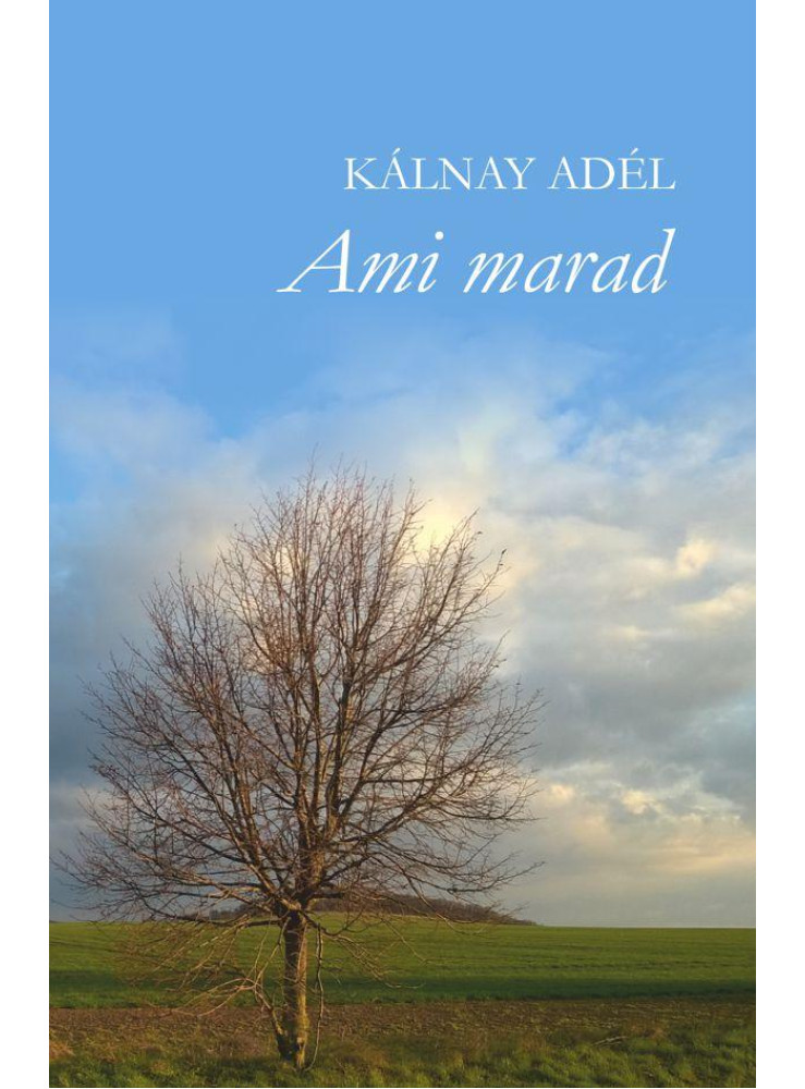 AMI MARAD AMI MARAD