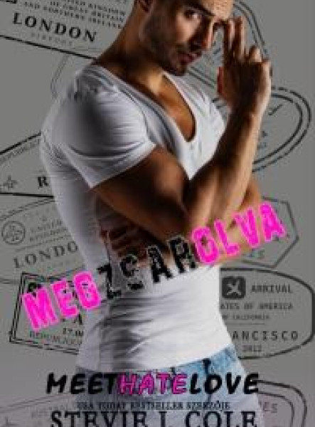 MEET HATE LOVE - MEGZSAROLVA