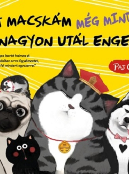 A MACSKÁM MÉG MINDIG NAGYON UTÁL ENGEM