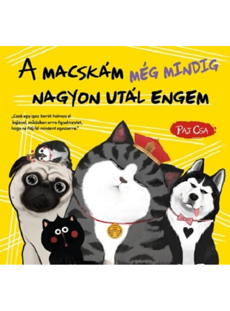 A MACSKÁM MÉG MINDIG NAGYON UTÁL ENGEM