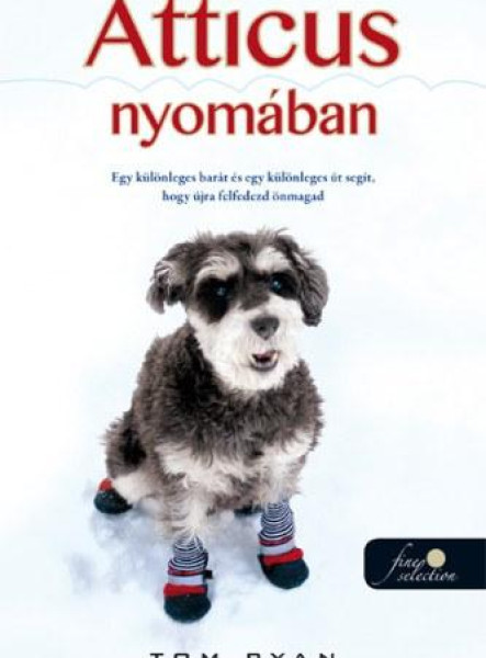 ATTICUS NYOMÁBAN - KÖTÖTT