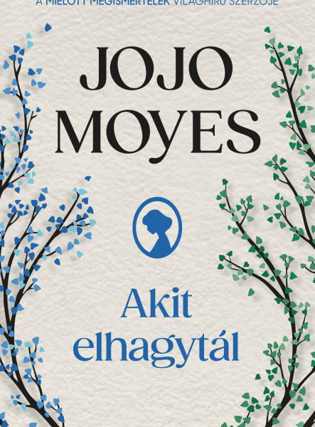 AKIT ELHAGYTÁL - ÚJ BORÍTÓ