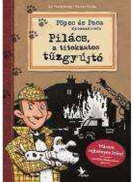 PILÁCS, A TITOKZATOS TŰZGYÚJTÓ PILÁCS, A TITOKZATOS TŰZGYÚJTÓ