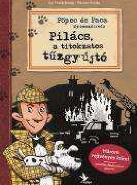 PILÁCS, A TITOKZATOS TŰZGYÚJTÓ